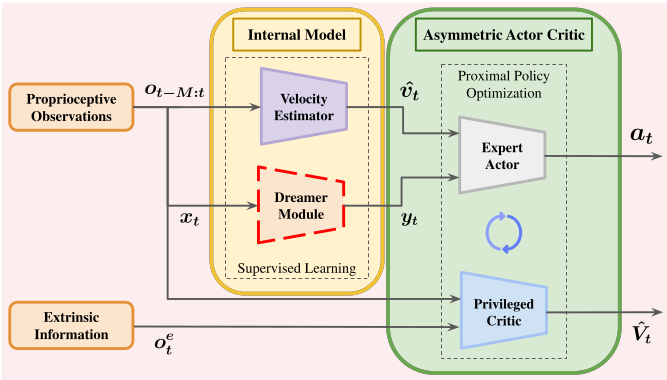 The Training Architecture